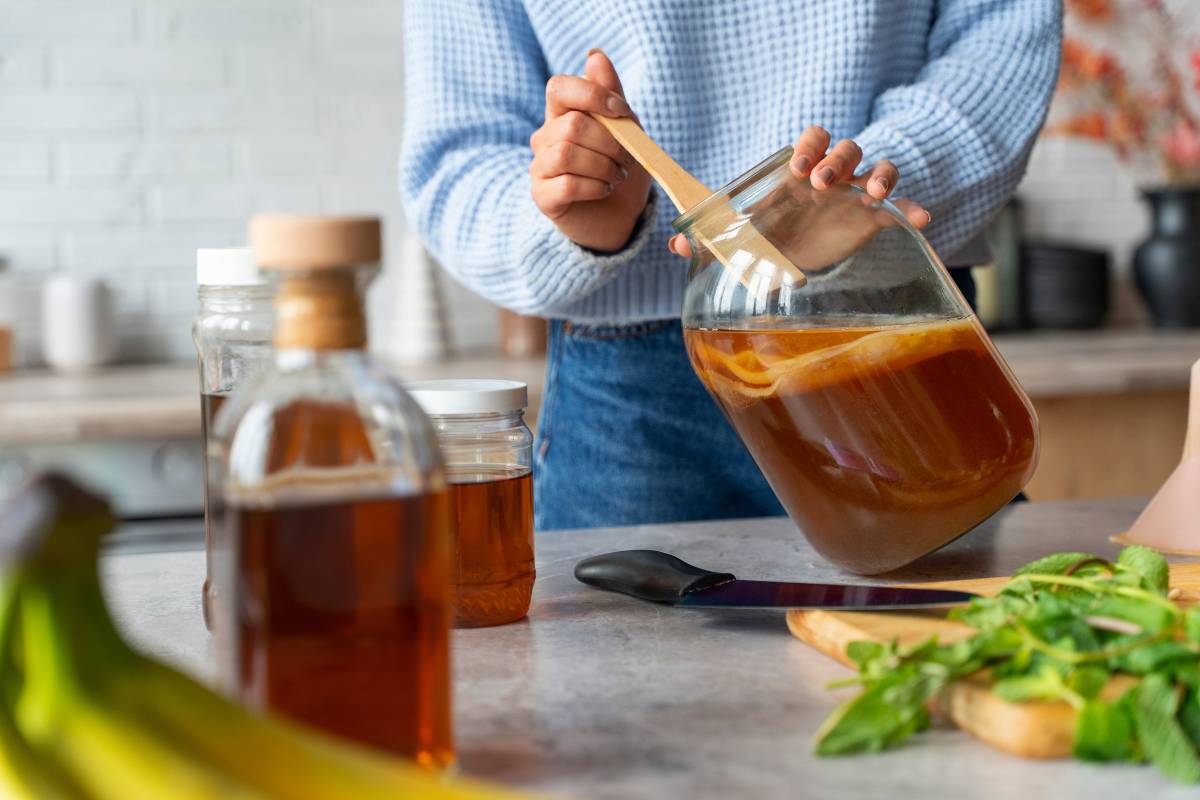 kombucha o que é e como fazer
