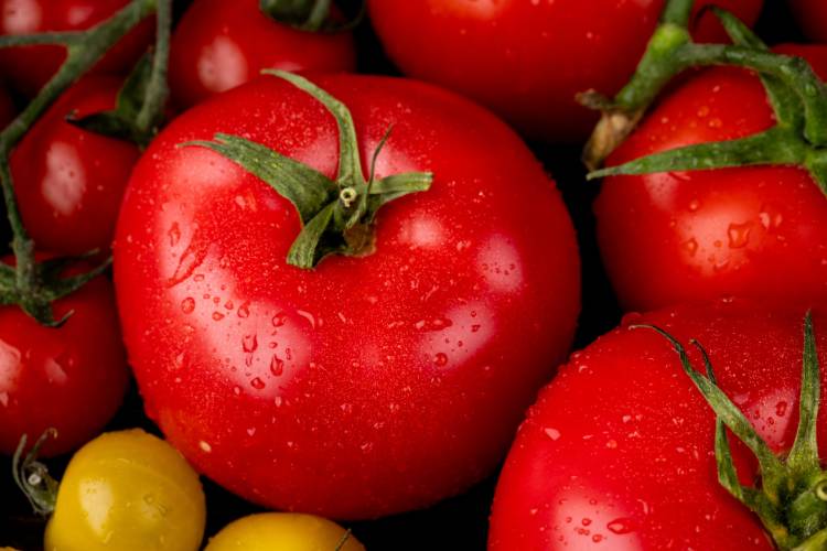Tomate é saudável vantagens e como consumir