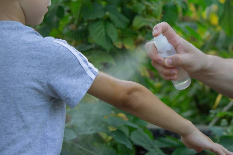 repelentes naturais para mosquitos