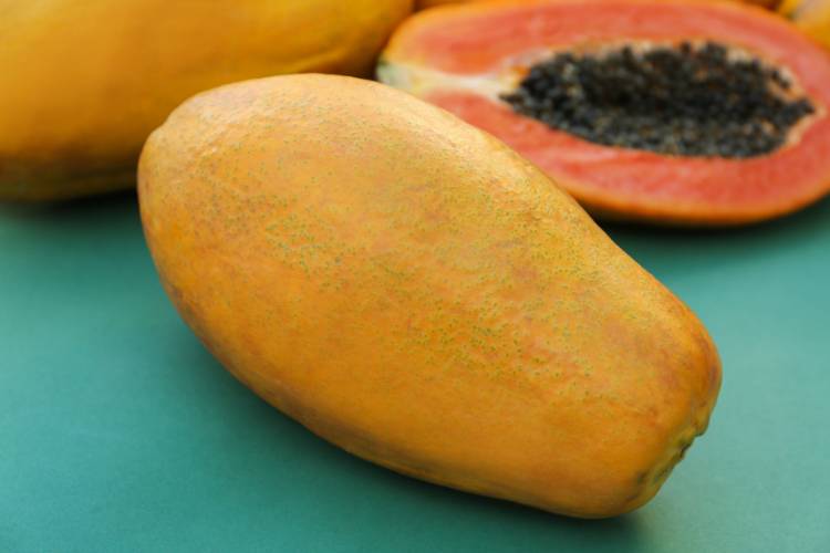 mamão papaya