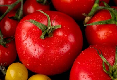 Tomate é saudável vantagens e como consumir