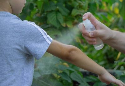 repelentes naturais para mosquitos